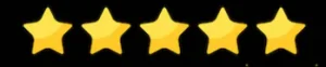 5 stars