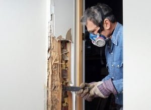 Sell House Fast due to termite damage in walls
