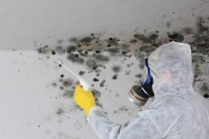 Sell a house with Mold as-is