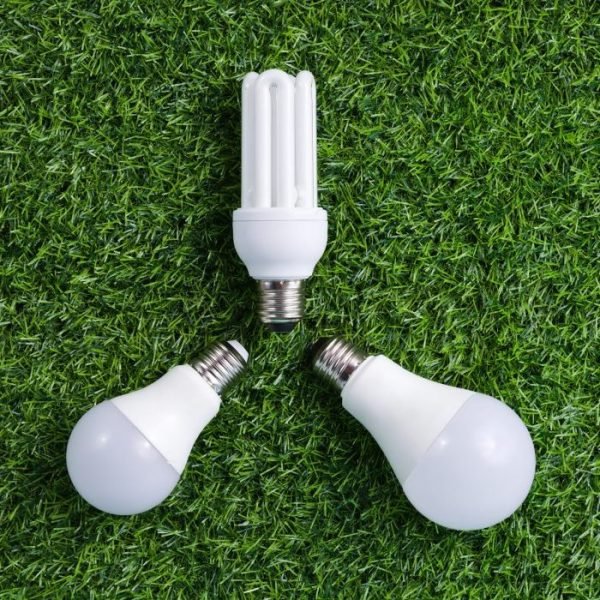 Energy Efficient Light Bulbs