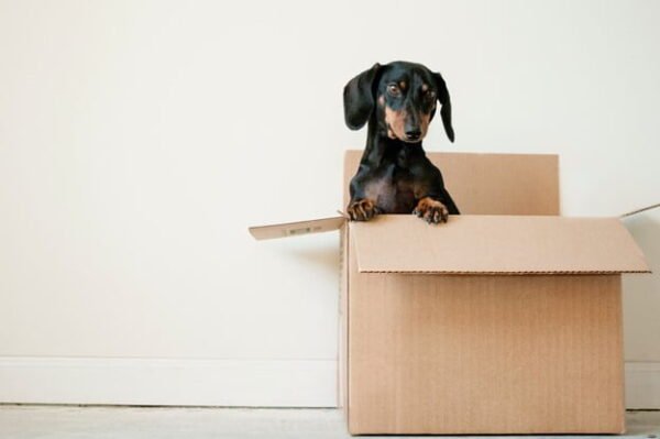 Planning for a move - how much does it cost
