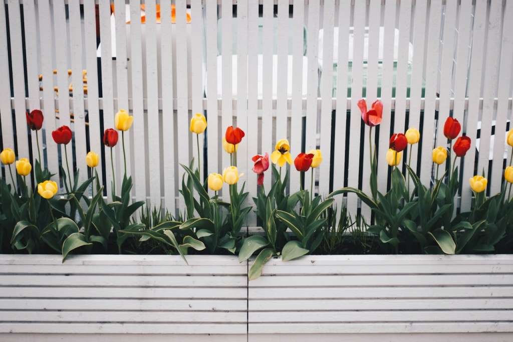Innovative Fencing used for screening and planting bed